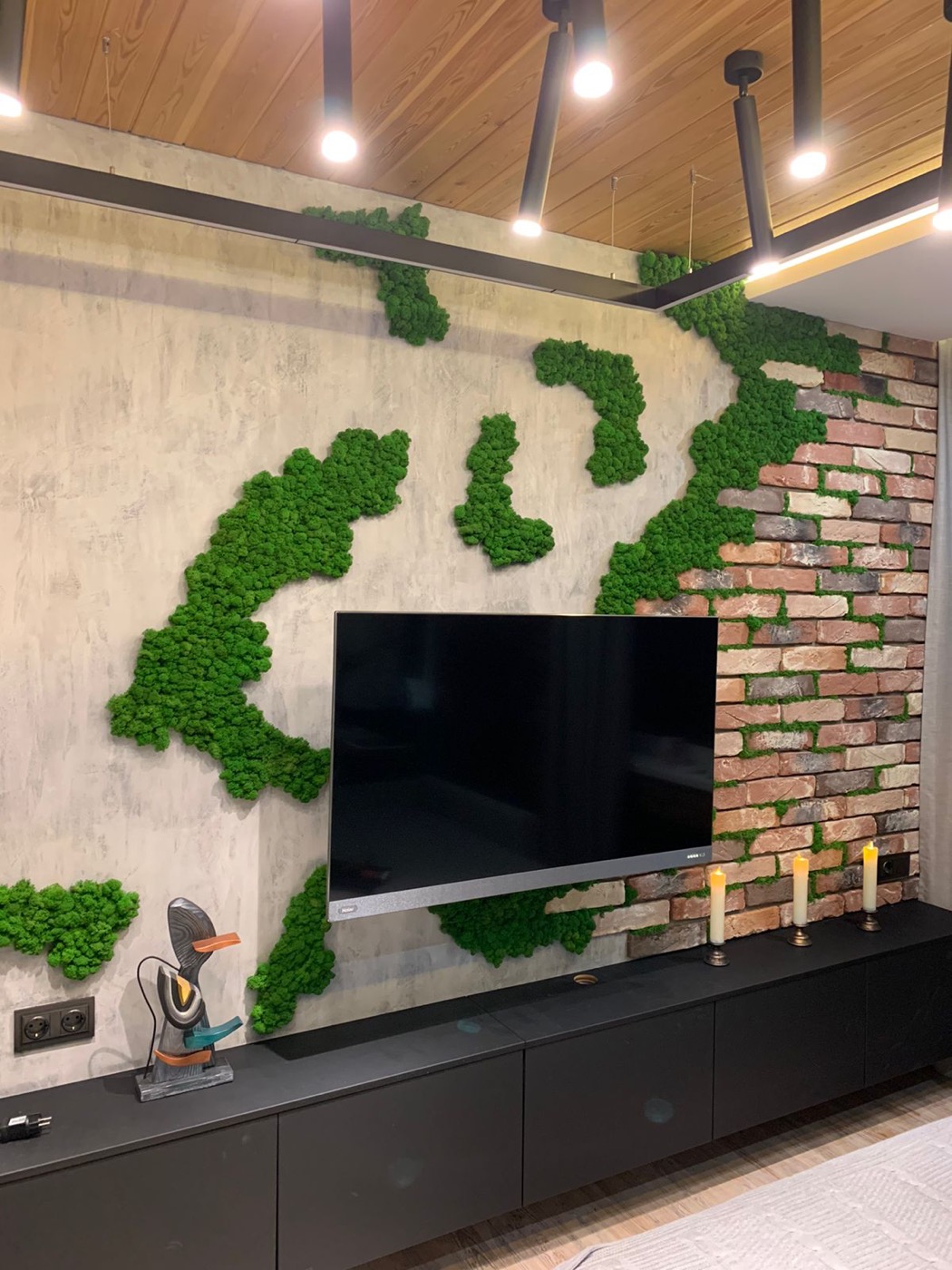 TV wall moss art