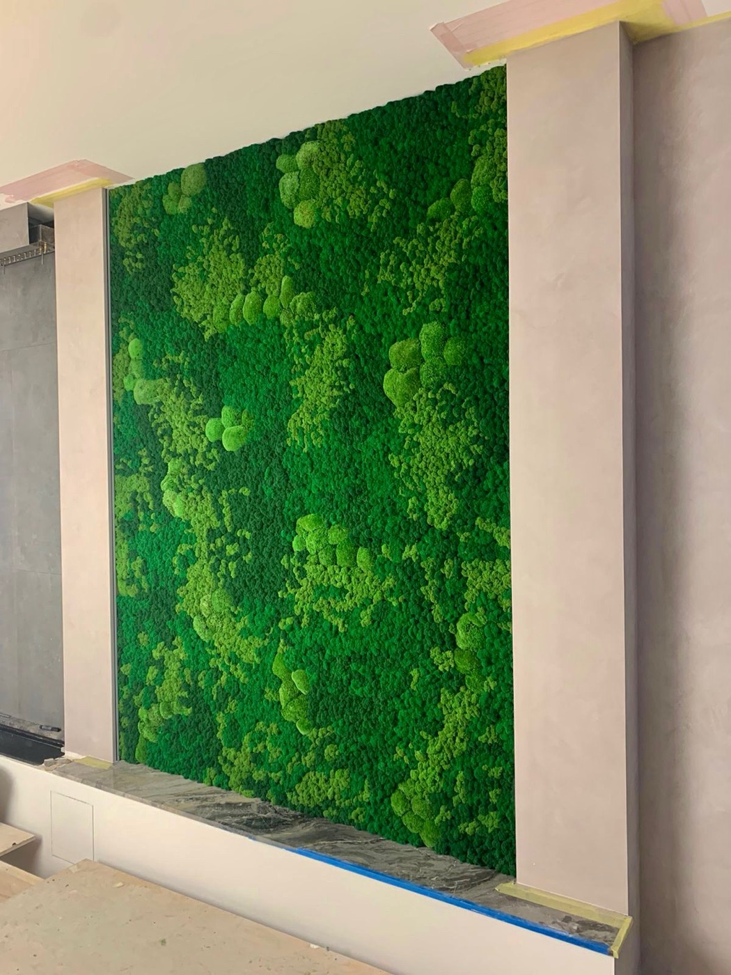 Full moss wall panel